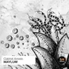 Stream & download Maylum - Single