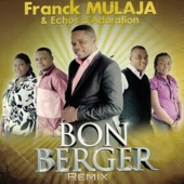 Bon Berger (Remix) artwork