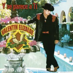 Y Se Parece a Tí - Valentín Elizalde