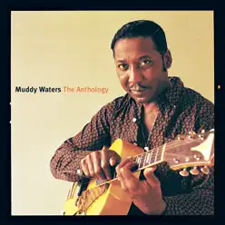 Anthology - Muddy Waters