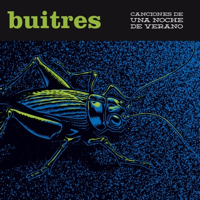 Canciones de una Noche de Verano - Buitres