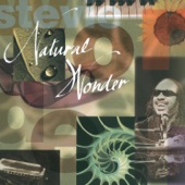 Stevie Wonder - Superstition (Live/1995)