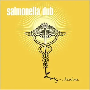 descargar álbum Salmonella Dub - Heal Me