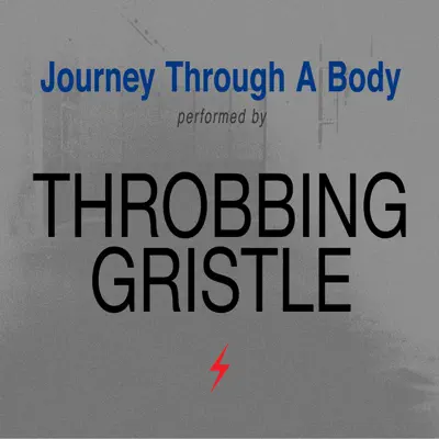 Oltre La Morte, Birth and Death - Single - Throbbing Gristle