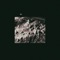 Function - Undular lyrics