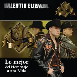 Lo Mejor de Homenaje a una Vída - Valentín Elizalde