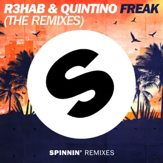 Freak (Sam Feldt Remix) by R3HAB & Quintino song reviws