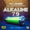 Alkaline 7.9 (feat. Sting Wray & Lenky Marsden) - Sly & Robbie lyrics