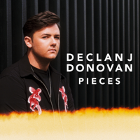 Declan J Donovan - Pieces artwork
