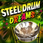 Steel Drum Dreams artwork