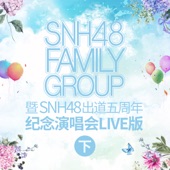 SNH48 FAMILY GROUP 暨 SNH48出道五週年紀念演唱會LIVE版(下) artwork