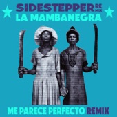 Me Parece Perfecto (Sidestepper Remix) - Single