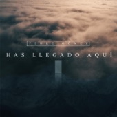 Has Llegado Aquí artwork