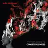 The Rap Guide to Consciousness album lyrics, reviews, download