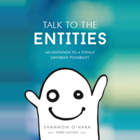 Shannon O'Hara - Talk to the Entities: An Invitation to a Totally Different Possibility artwork