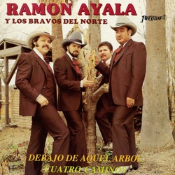 Ramón Ayala y Sus Bravos del Norte - No Porque Seas Tu