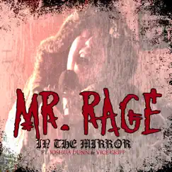 In the Mirror (feat. Joshua Dunn & Vice Gripp) - Single by Mr. Rage album reviews, ratings, credits