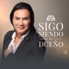 Sigo Siendo El Dueño - Single