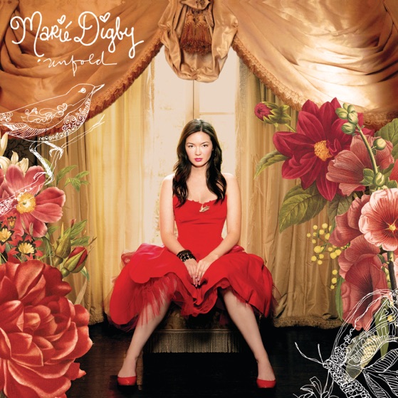 Cover artwork for Fool
