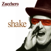 Shake (NEW International Spanish Version) artwork