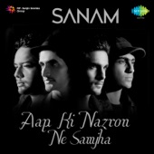 Aap Ki Nazron Ne Samjha artwork