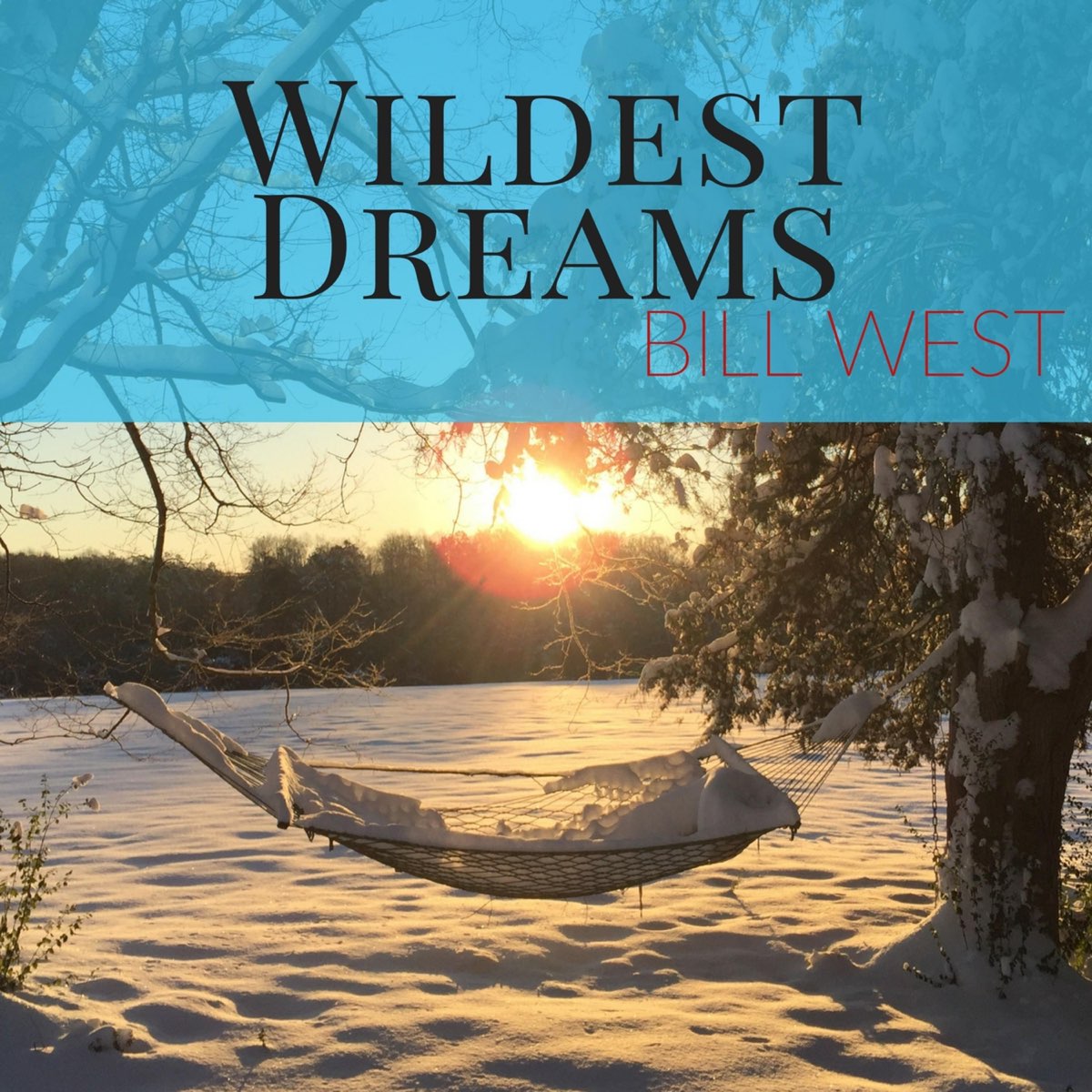 Wildest dreams. Wildest Dreams Billy Conrad. Bill’s Dream. Отзывы Wild Dream.