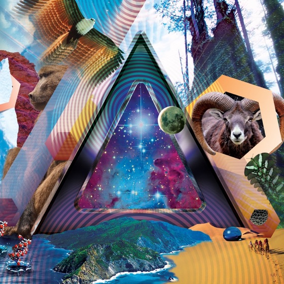 Cover artwork for Trouble