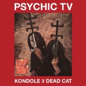 Kondole / Dead Cat artwork