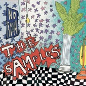 The Samples - When It's Raining