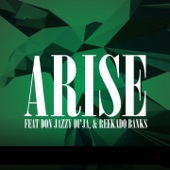 Arise (feat. Don Jazzy Di'Ja) [Mavins] artwork