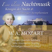 Mozart: Eine kleine Nachtmusik, Königin der Nacht & Salzburger Symphonien artwork