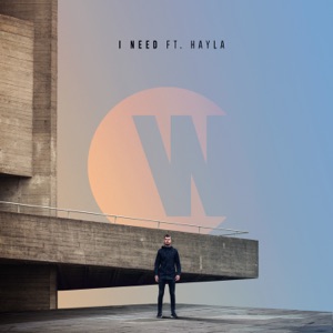 I Need (feat. Hayla) - Single