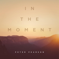 Peter Pearson - In the Moment artwork