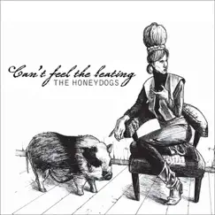 Can't Feel the Beating by The Honeydogs album reviews, ratings, credits