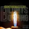 Blunts Burning - Single album lyrics, reviews, download
