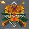 Lose Control - Bhaskar lyrics