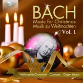 Christmas Oratorio, BWV 248, Pt. 2: XII. Chorus. Ehre sei Gott in der Höhe (Chorus) artwork