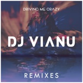 Driving Me Crazy (Ovidiu Lupu Remix) artwork