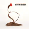 Ghost Forests album lyrics, reviews, download