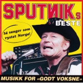 Sputniks Beste - 24 sanger som rystet Norge artwork