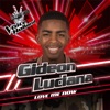 Love Me Now (The Voice of Holland Season 8) - Single