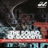 Sound of Goodbye (feat. Patrizze) - Single