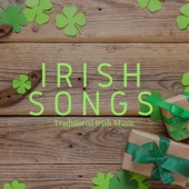 Irish Songs: Traditional Irish Music, Irish Pub Songs, Drinking Songs for St Patrick's Day artwork