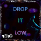 Drop It Low artwork