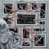 Agnes Martin - Screaming Females