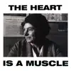 Stream & download The Heart Is a Muscle (Radio Edit) - Single