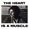 The Heart Is a Muscle (Radio Edit) - Single