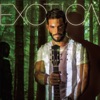 Exótica (feat. Nacho) - Single