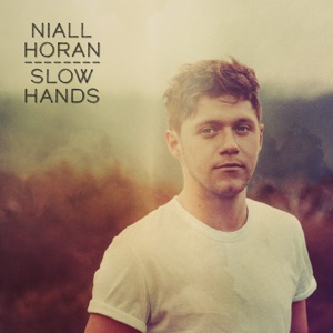 Niall Horan - Slow Hands - 排舞 音樂