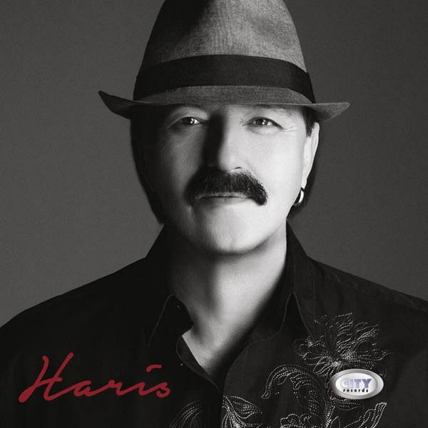 Haris Dzinovic - Godine Ti Dobro Stoje